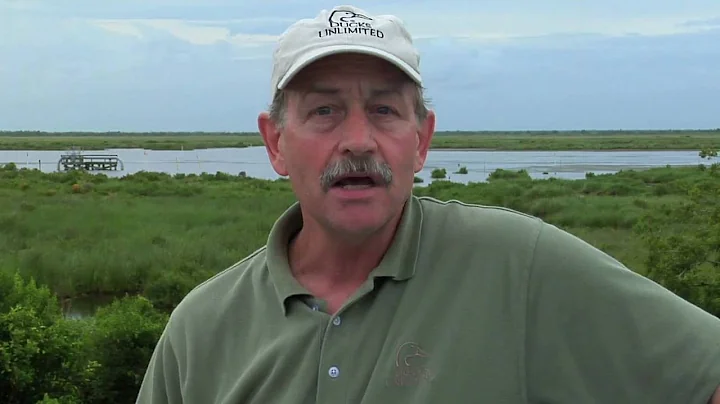Chief Biologist Dale Humburg reflects on Gulf Coas...