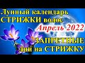 Лунный календарь стрижки Апрель 2022. Благоприятные и неблагоприятные дни для стрижки волос