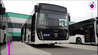 видео: Мегаполис - Новые автобусы - Сургут картинка: Мегаполис - Новые автобусы - Сургут