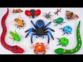 [🔥toy asmr🔥] ZURU Robo Alive Huge Blue Spider - RC Milk Snake - Lady Bug ASMR | No talking