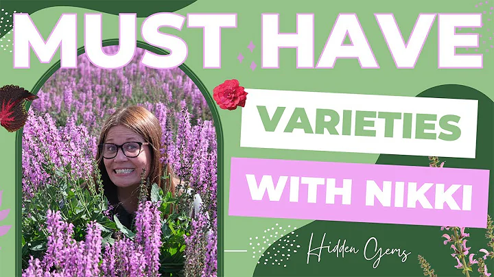 Hidden Gems From Proven Winners Direct