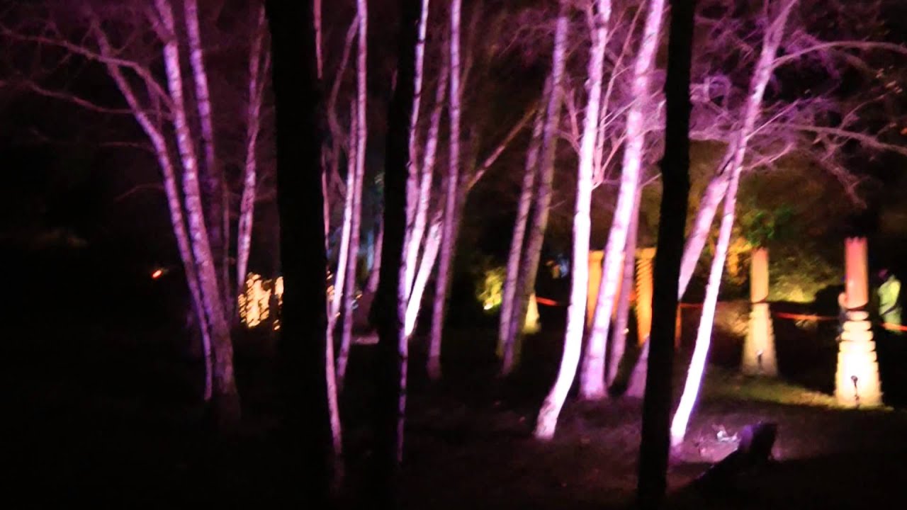 Rufford Park Aurora Christmas Illuminations 14.12.13 YouTube