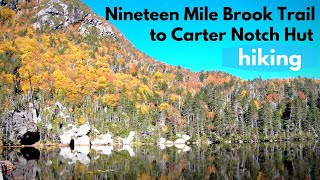 Hiking the Nineteen Mile Brook Trail to Carter Notch Hut in NH