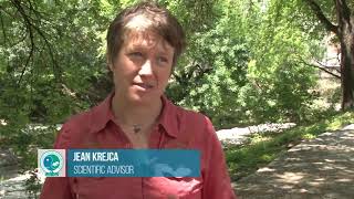 Deep Underground with Balcones Canyonlands Preserve Biologist