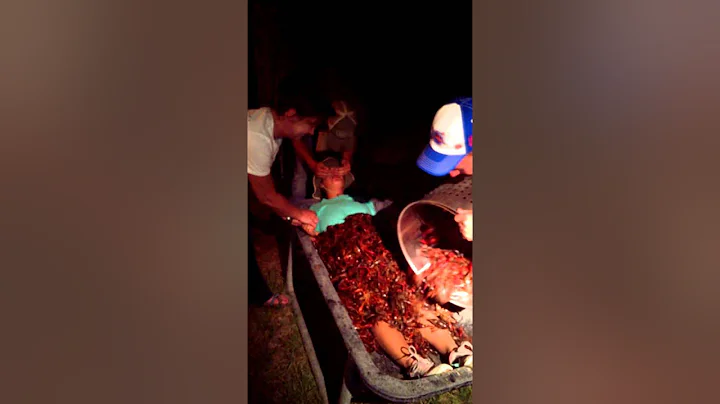 VIDEO0029