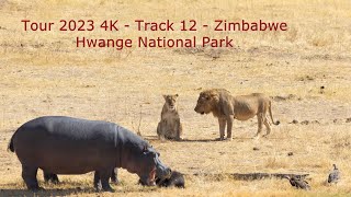 12 - Zimbabwe - Hwange National Park