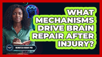 What Mechanisms Drive Brain Repair After Injury?