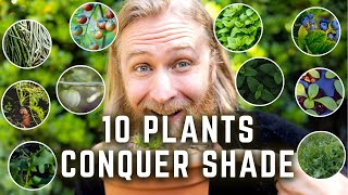 10 Vegetables and Herbs PERFECT for SHADE Garden Spots