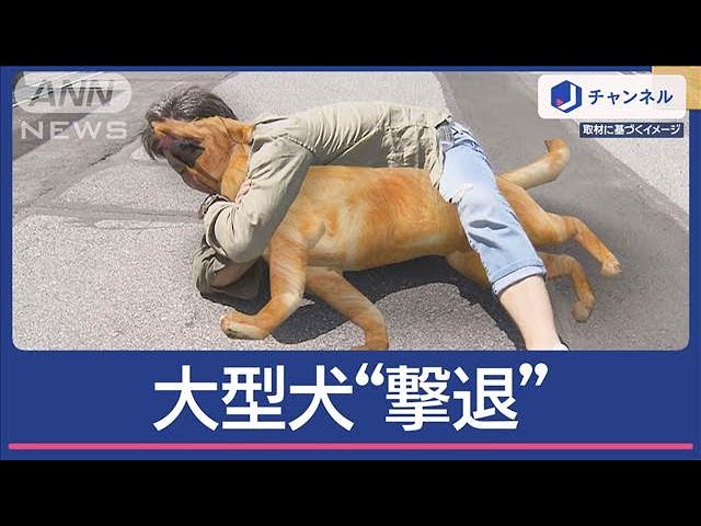 【中古】体験的倒産論?負け犬はいつも悪者にされる (1978年) 5600歳の不老不死インフルエンサーいわく。 1 (1) (ヤングチャンピオン