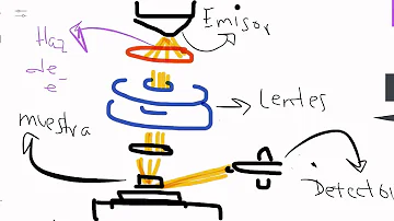 Qual'è la differenza sostanziale tra il microscopio ottico e il SEM?