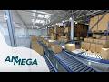 How Ammega created one platform for Consolidation, Planning, and Smarter Decisions with Board