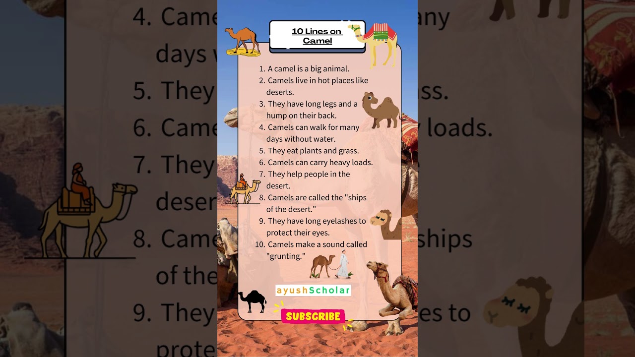 10 lines on Camel in english | Essay on Camel in English