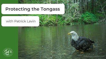 Protecting the Tongass