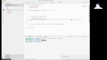 0129b: Passing arguments to main