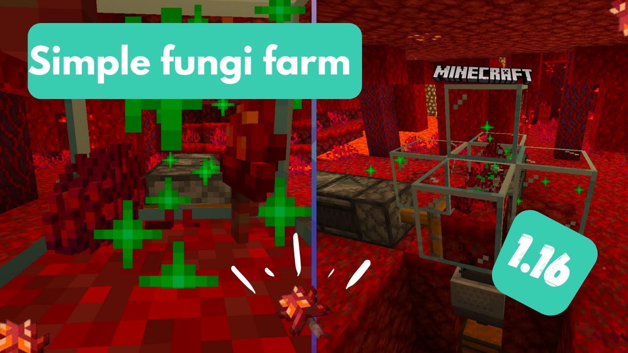 Simple Crimson/warped fungi farm tutorial (1.16+) 