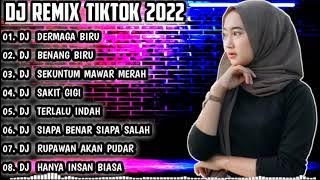 DJ DERAIAN DEMI DERAIAN AIR MATA - DERMAGA BIRU ALBUM RIMEX TERBARU FULL BASS VIRAL TIKTOK 2022