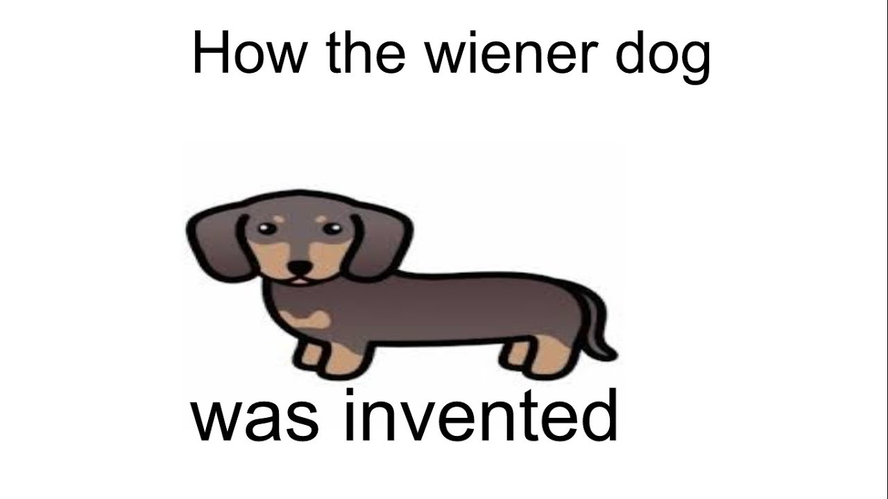 how the wiener dog was invented YouTube