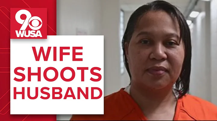 Day care owner jailed for shooting husband over al...