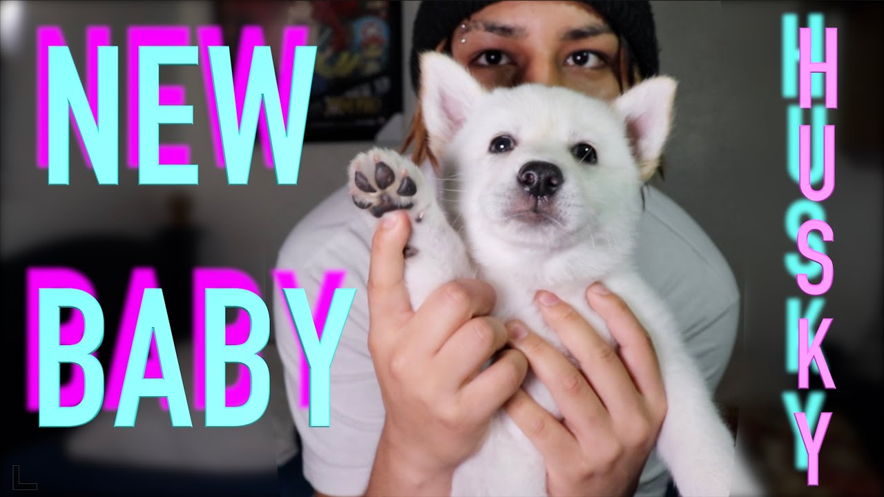 I NAMED MY NEW DOG "LUCIFER"?!?!! YouTube