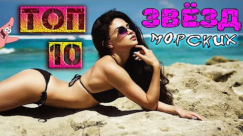ТОП 10 морских ЗВЁЗД \ виды морских звёзд