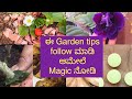 ಈ Garden tips ನ್ನು follow ಮಾಡಿ ಆಮೇಲೆ magic ನೋಡಿ