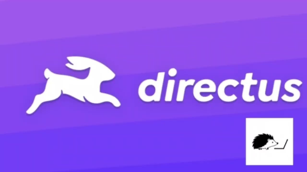 Как создать и установить расширение для Directus / Директус 