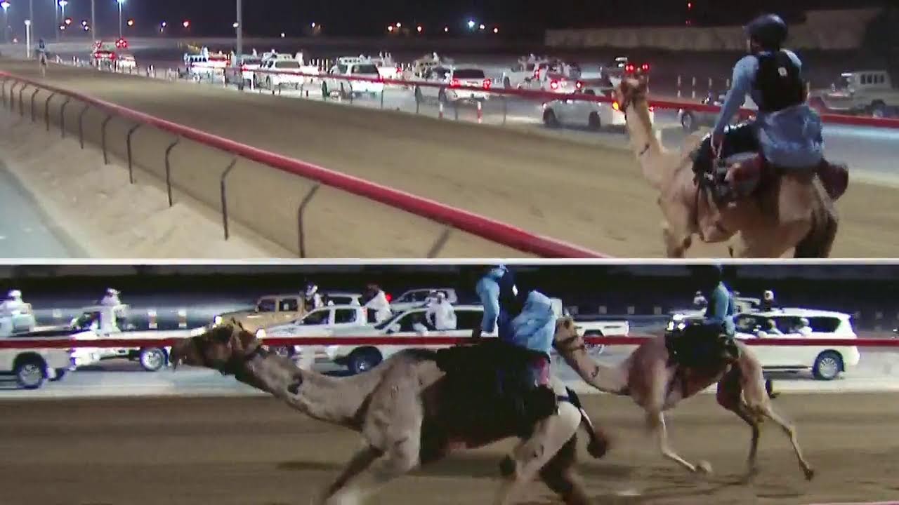 برنامج الميــدان (اليولة ) ح2 موسم 2022-2023