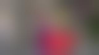 Stunning Street Art from one of the leading female street artists... FAFI