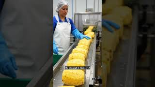 How a Pineapple Becomes Ready-to-Eat 🍍 | Inside a Modern Factory