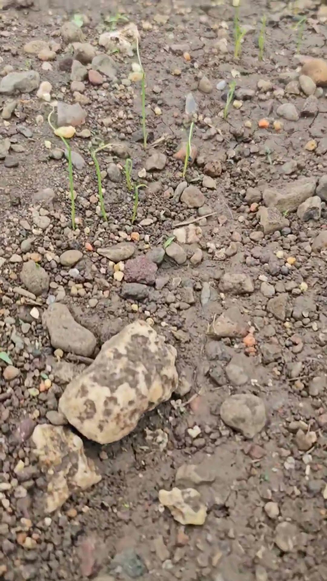 shetkari - ShareChat