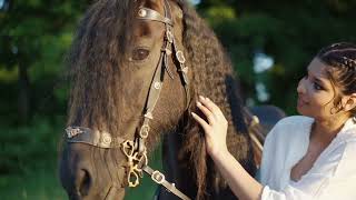 25 Most Beautiful Horses in the World 🐎 | Horses You Won’t Believe Exist!