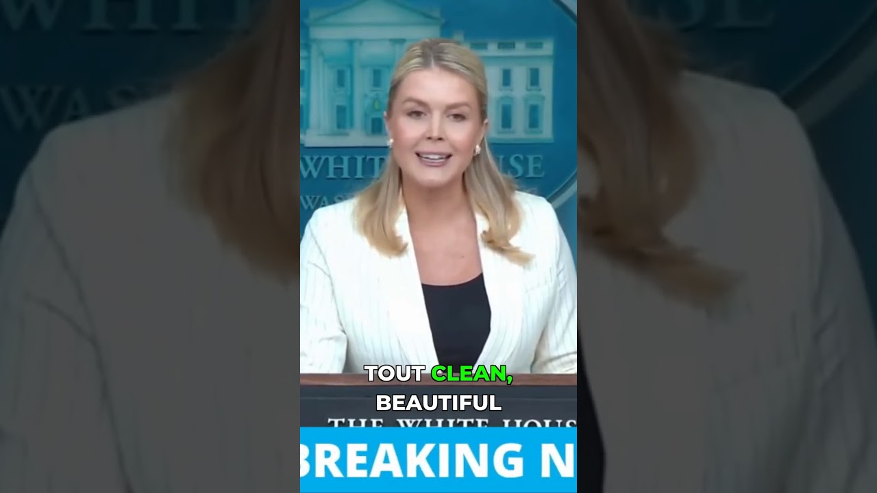 Trump's Energy Policy: Clean Coal & Affordability