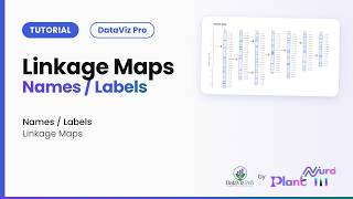 Linkage Maps · Names / Labels | DataViz Pro Tutorial Guide