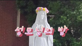 2026년 5월 28일  성모님의 밤 오후 6시