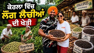 ਕੇਰਲਾ ਵਿੱਚ ਲੌਂਗ-ਲੈਚੀਆਂ ਦੀ ਖੇਤੀ Spice Farming Kerala | Punjabi Travel Couple | Ripan Khushi