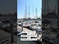150+ abandoned vessels in Marina del Rey! #abandoned #boats #marinadelrey