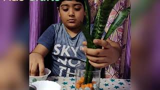 HAPPY REPUBLIC DAY |  INDEPENDENCE DAY | PLANTER DECOR CRAFT