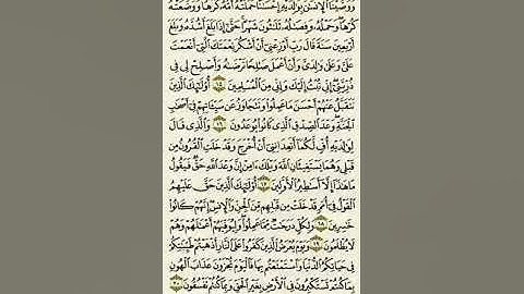 سورة الأحقاف من الآية ١٥ إلى الآية ٢٠بصوت القارئ ماهر المعيقلي