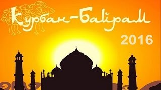 Подготовка к предстоящему празднику Курбан-Байрам 2016. Курбан-Хаджи Рамазанов