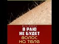 В Раю не будет волос на теле #Рай #волосы