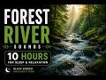 Forest River Sounds for Deep Sleep & Relaxation | 10 Hours