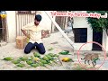 Cat🐈⬛ Ny Parrots🦜Ky Babies Par Dhawa Bol Diya😨Billi Parrots Ka Baby Le Gayi 💔
