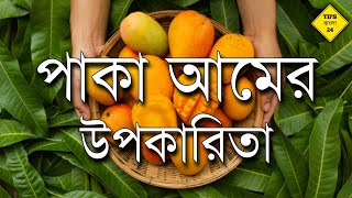 পাকা আমের উপকারিতা | paka amer upokarita [ আমের উপকারিতা ] Tips Bangla 24
