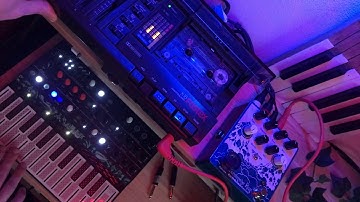 4Track Tapeloop with Arturia MicroFreak