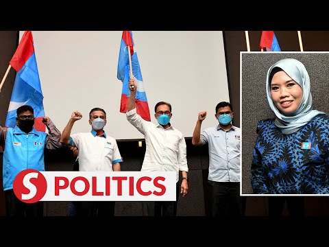 State PKR women chief to contest in Kempas seat in Johor polls