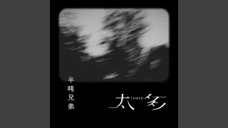 Video thumbnail of "半吨兄弟 - 太多 (DJ久乐版)"
