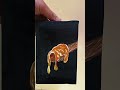 honey painting 🍯🎨 #viralvideo #acrylicscenery #art #painting #paintingstyles #youtubeshorts