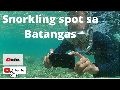 Video: Ang Pinakamagagandang Snorkeling Spot sa Oahu