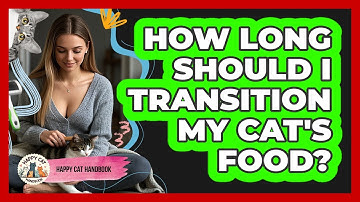 How Long Should I Transition My Cat