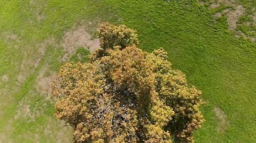 From start to crash with the DJI AVATA 2 - FCC mode (part 1/2)